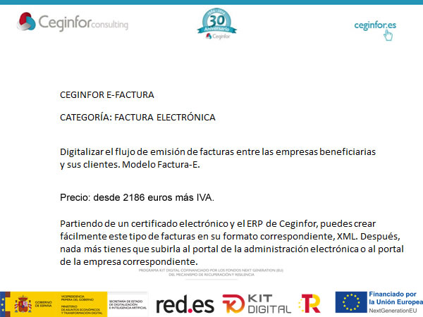 Detalle Factura Electrónica